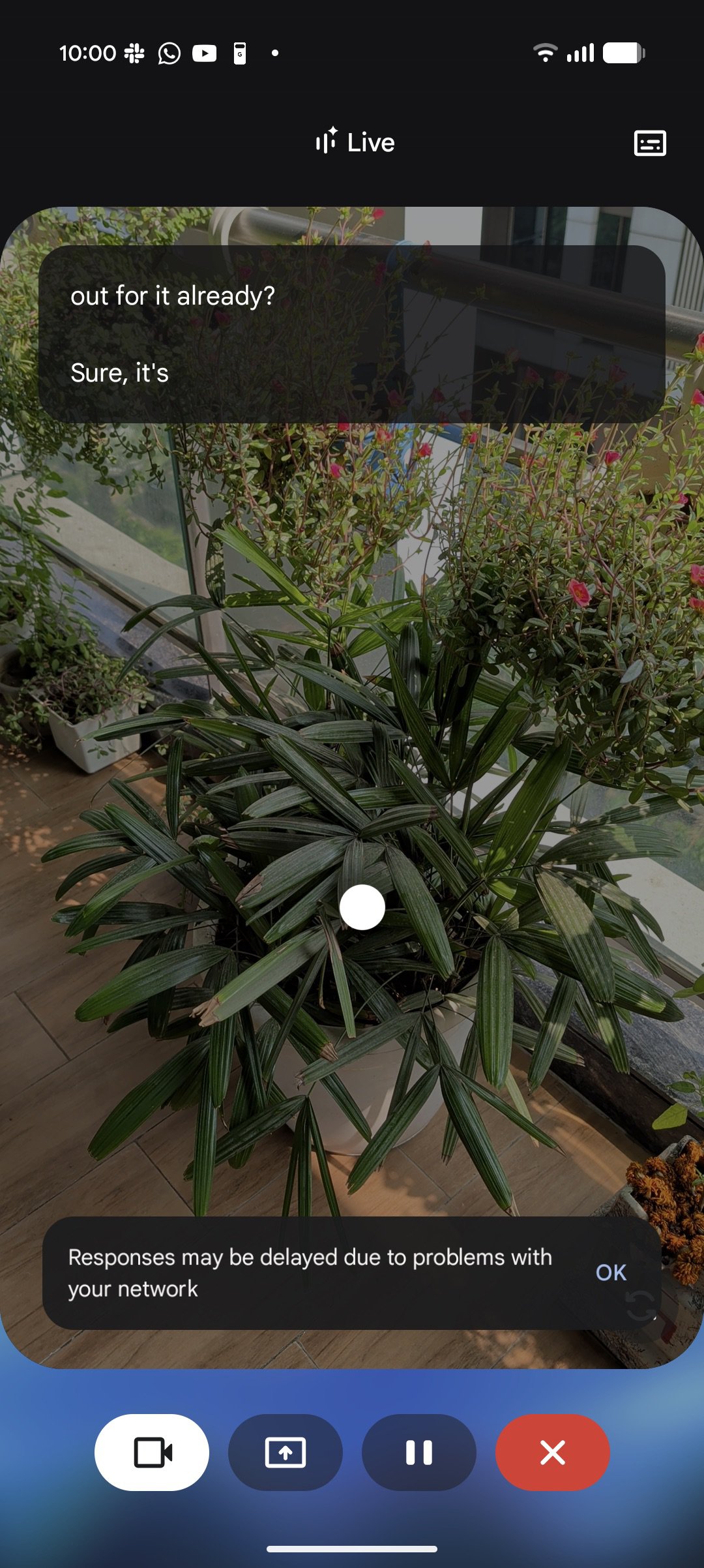 Gemini live visual guidance plant 1