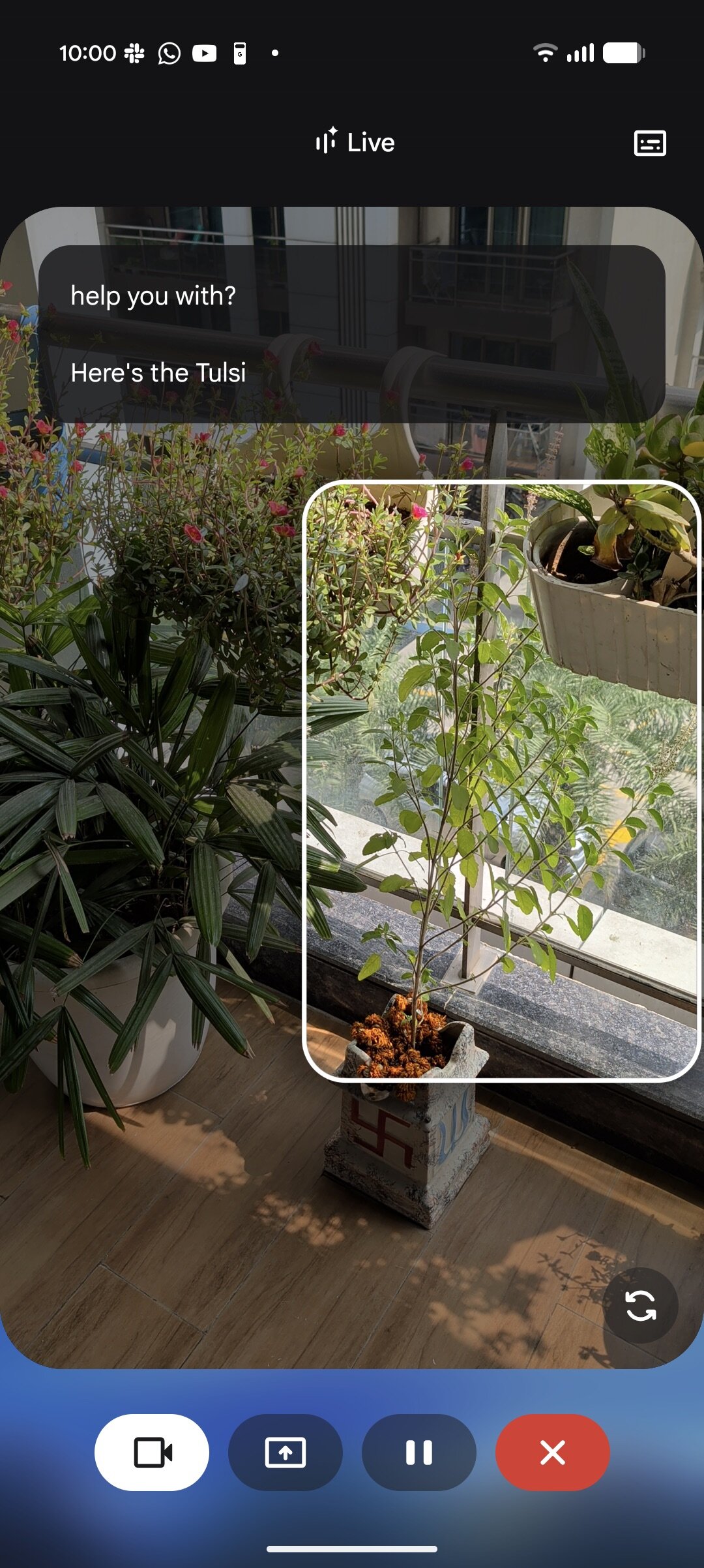 Gemini live visual guidance plant 2