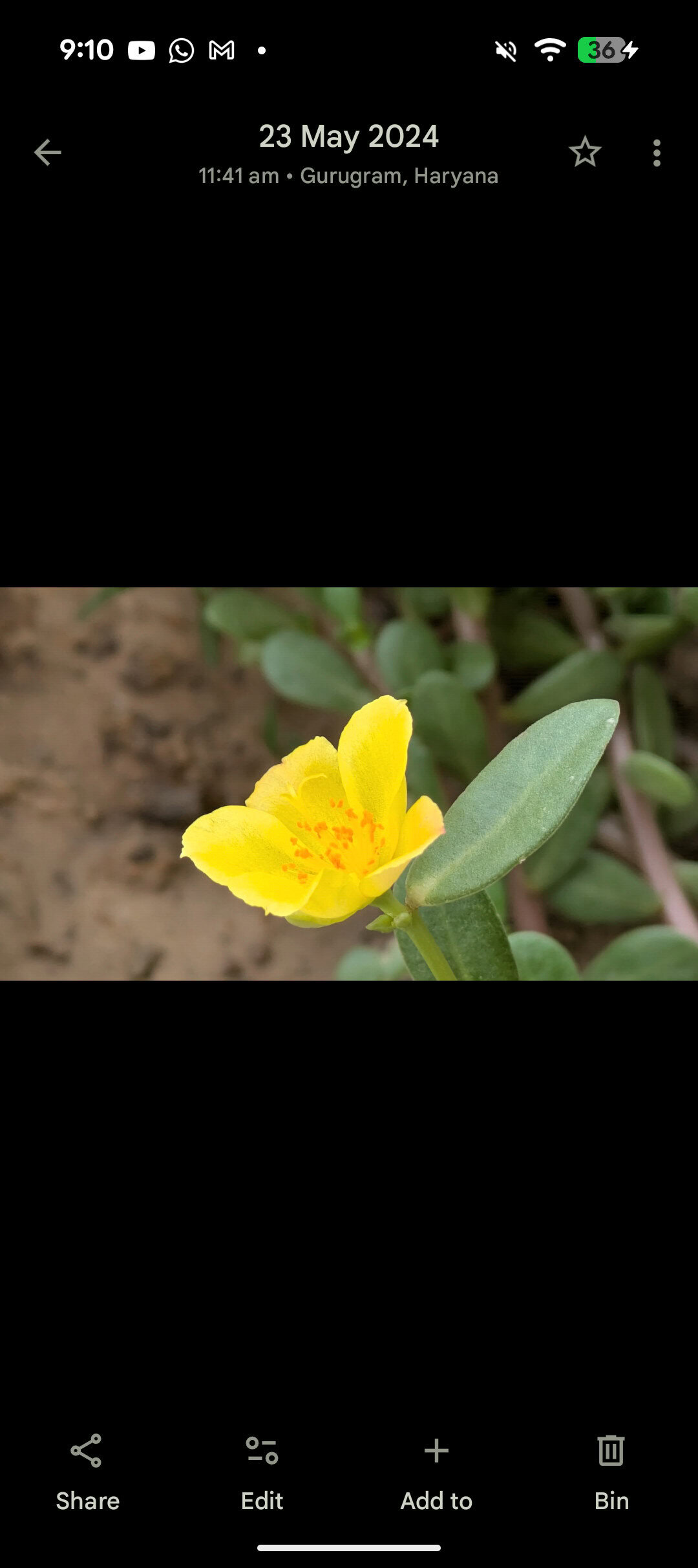 Google Photos image viewer changes 1