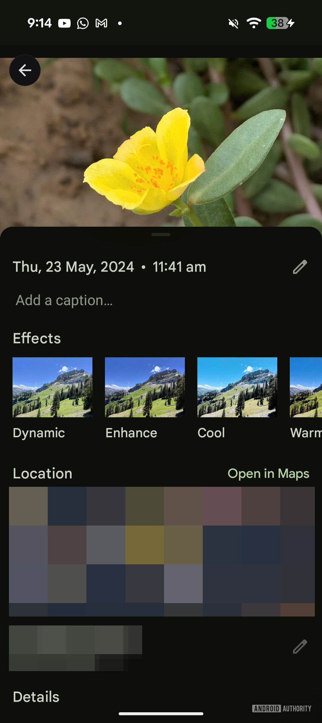 Google Photos image viewer info page 1