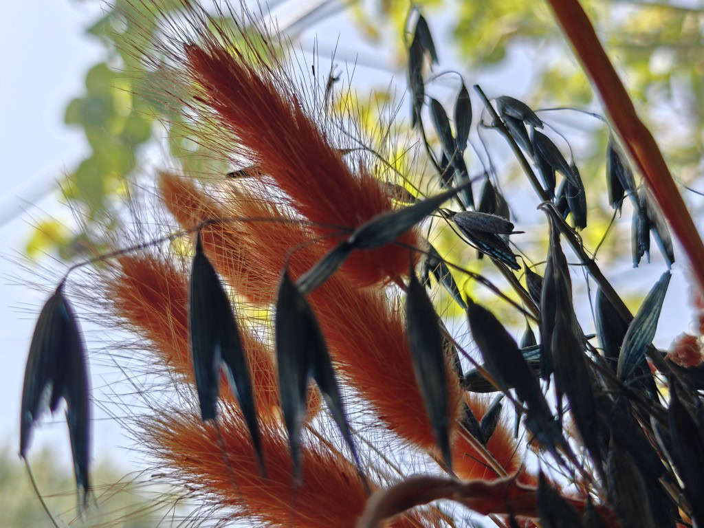 OnePlus 13 camera sample HDR indoors