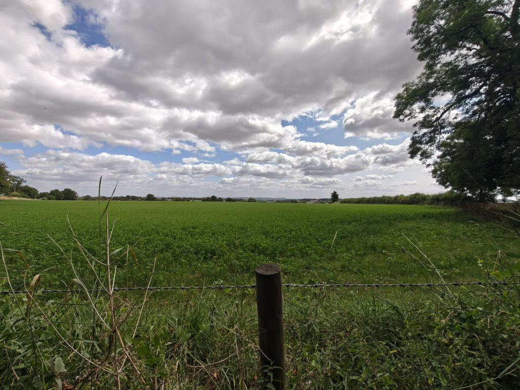 Oneplus-13-camera-sample-ultrawide-field