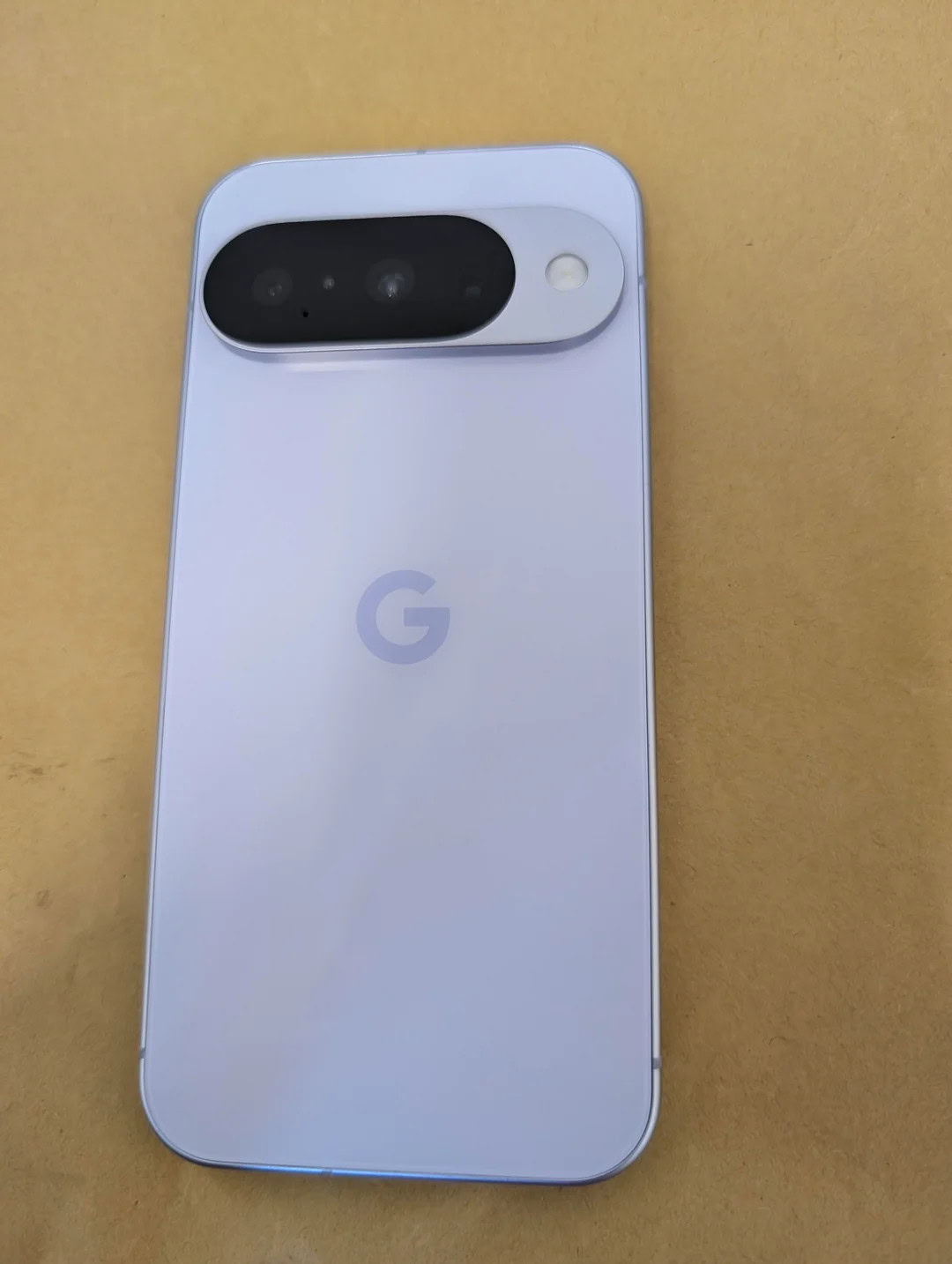 Pixel 10 possible dummy unit back
