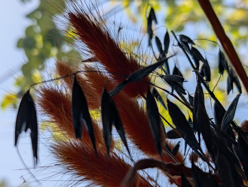 Pixel 9 Pro XL camera sample HDR indoors