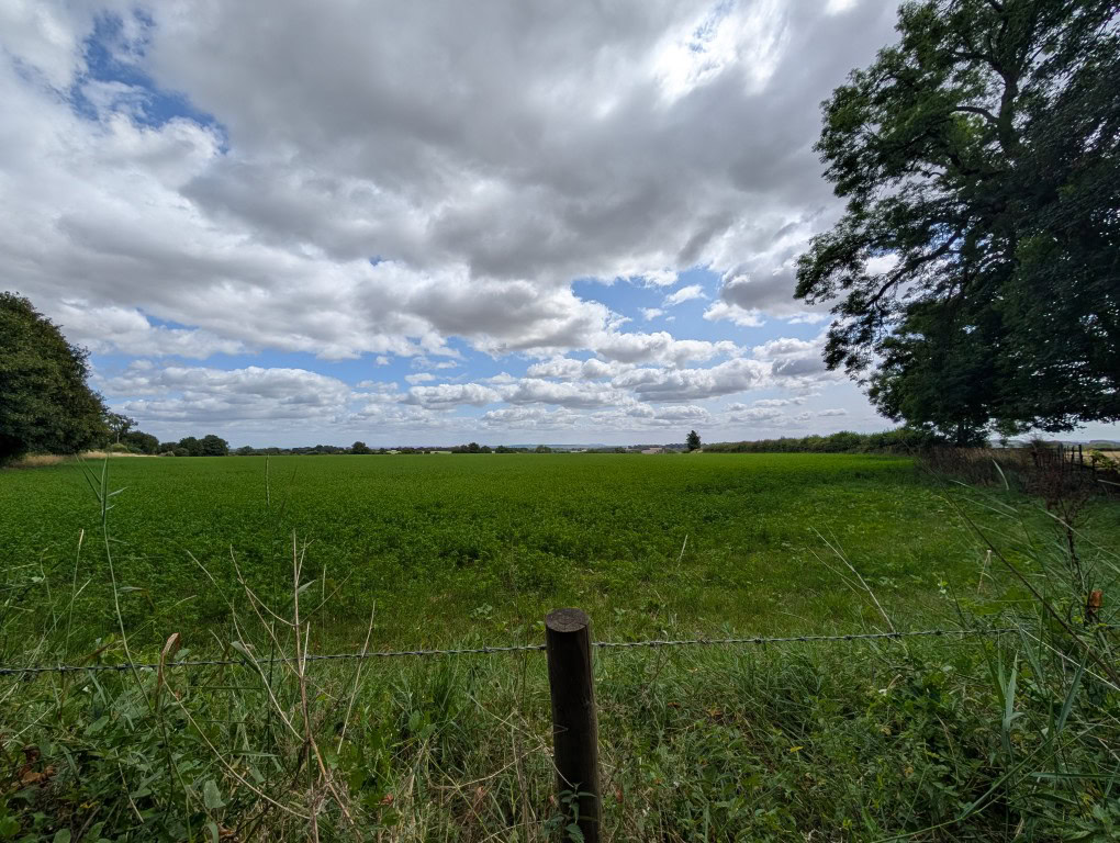 Pixel 9 Pro XL camera sample ultrawide field