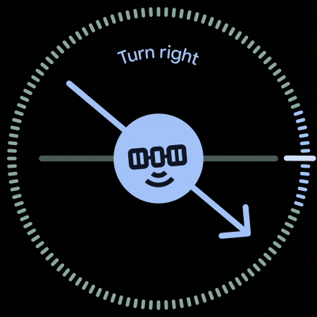 Satellite Emergency Communications Screen