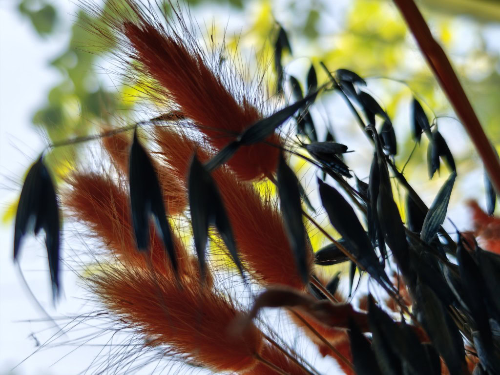 Xiaomi 15 Ultra camera sample HDR indoors