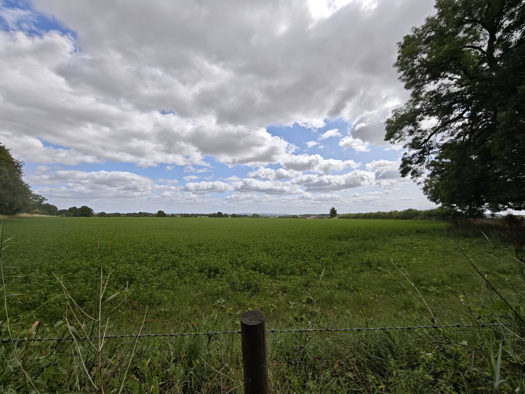 Xiaomi 15 Ultra camera sample ultrawide field