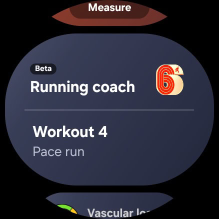 A page with multiple tiles in One UI 8 Watch.