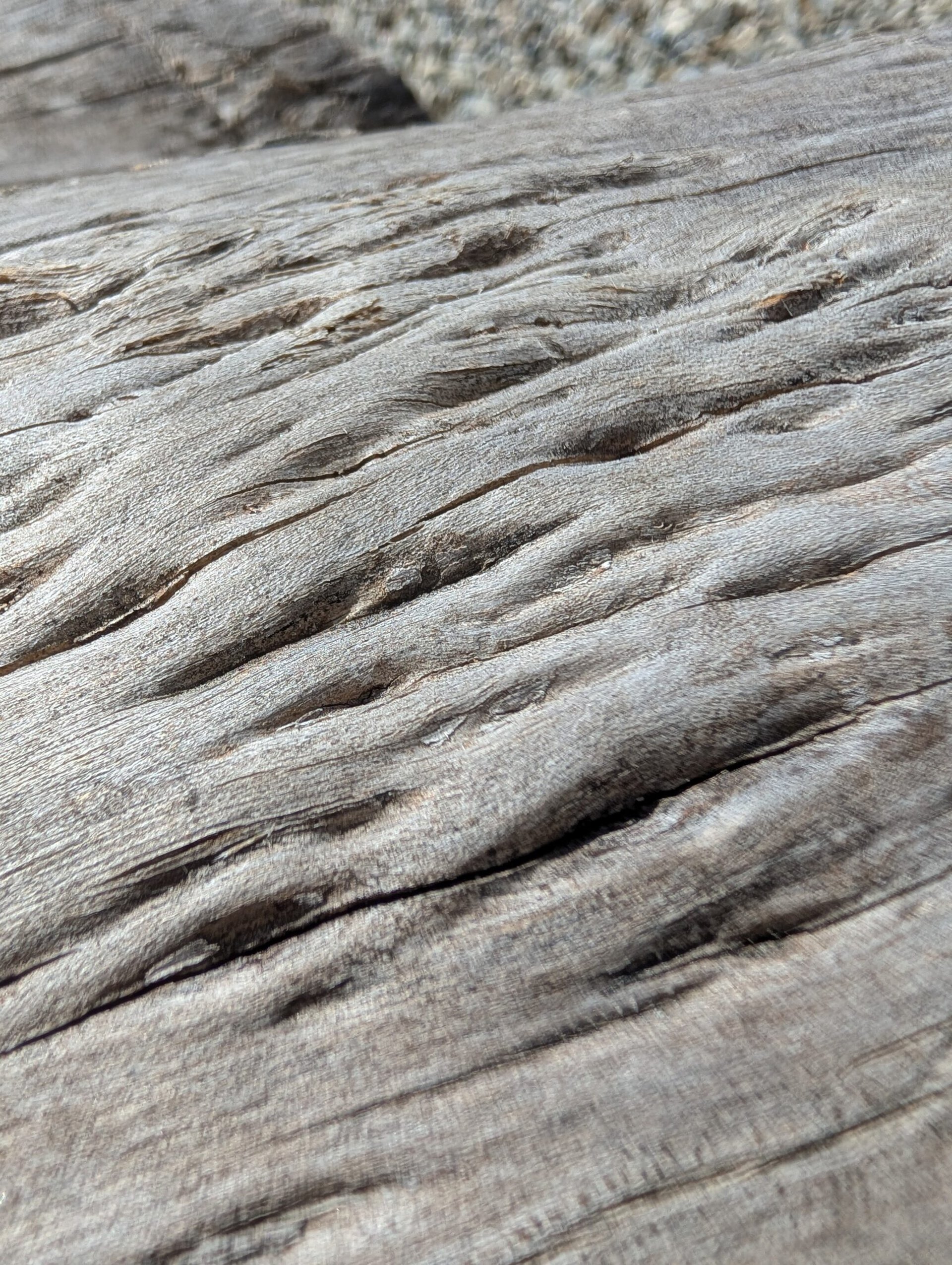 Google Pixel 10 Pro XL log macro