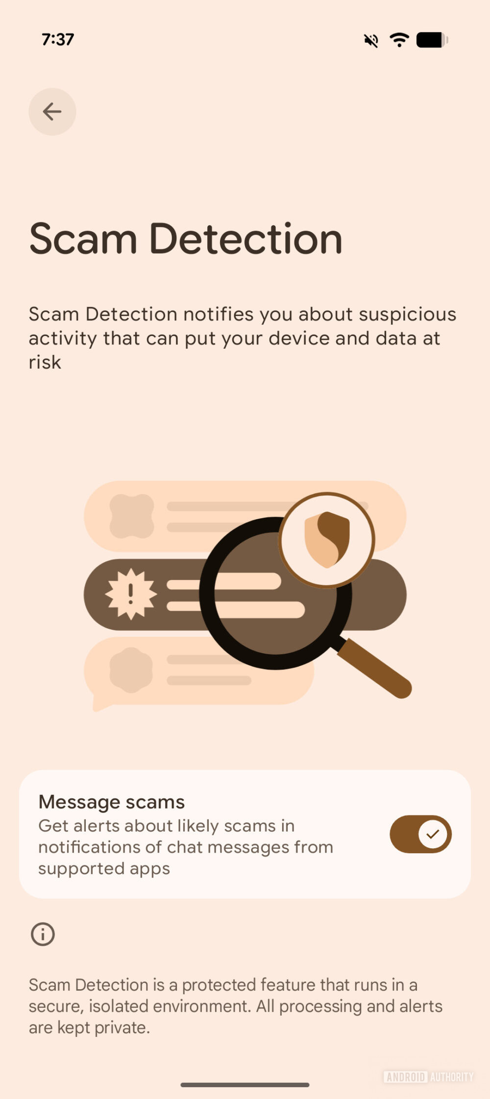 First calls and texts, now Pixels could detect scams from chat apps ...
