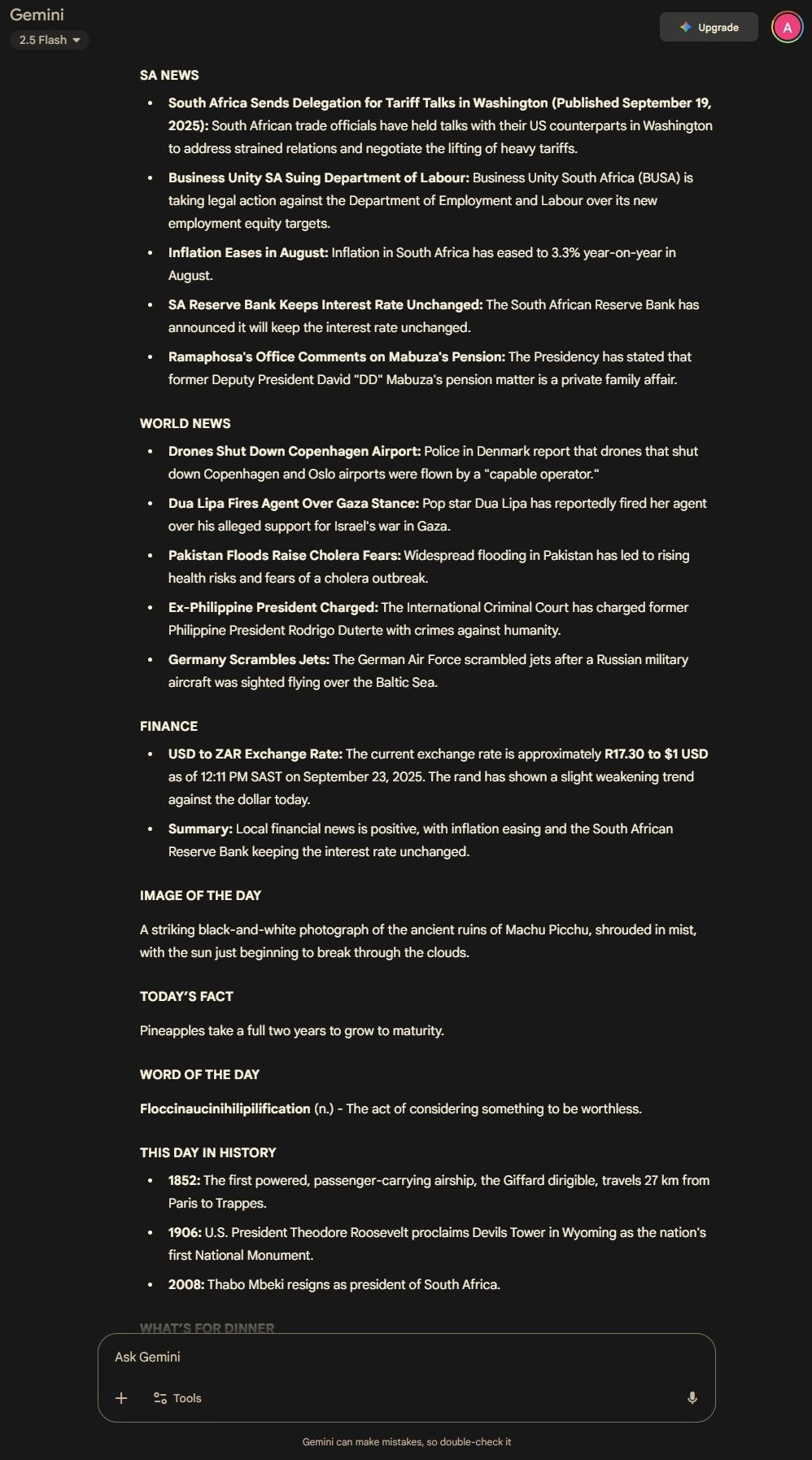 gemini daily hub output example 2