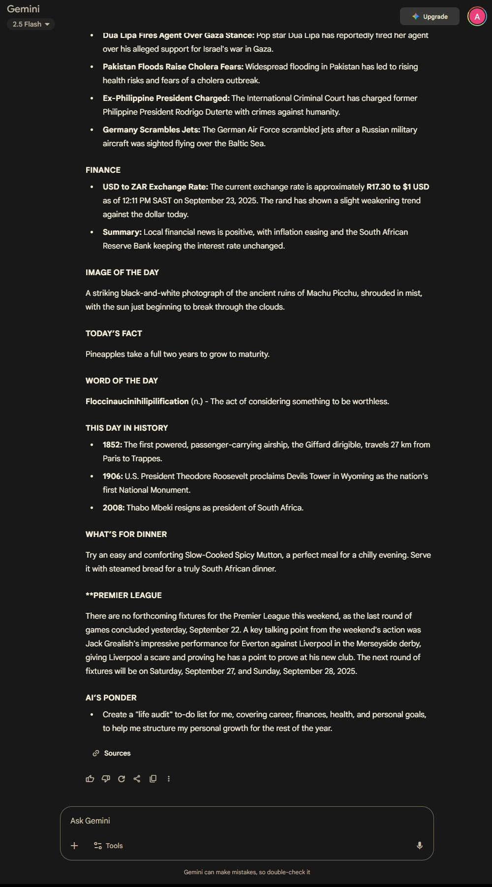 gemini daily hub output example 3