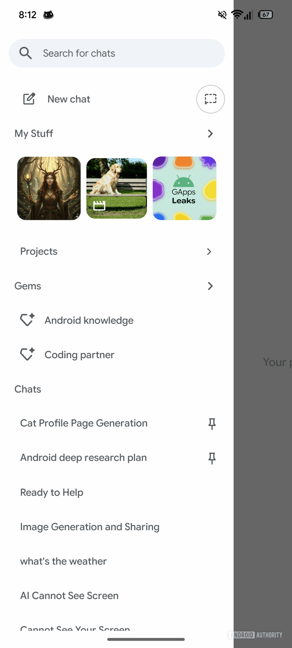 A screenshot showing a Projects option in the Google Gemini app's side menu.