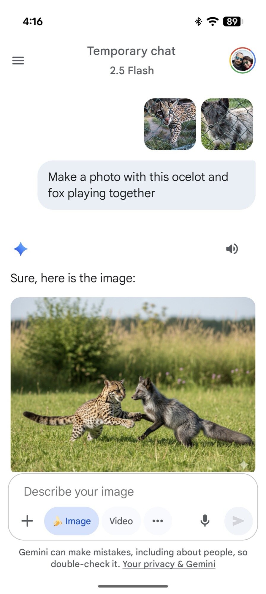 gemini temporary chat image editing 4