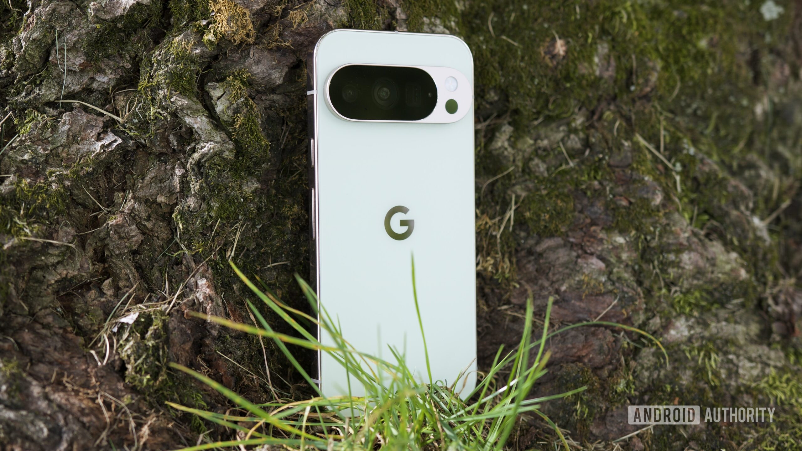 google pixel 10 pro jade back 1 The Google Pixel 10 Pro in Jade, resting against a tree.