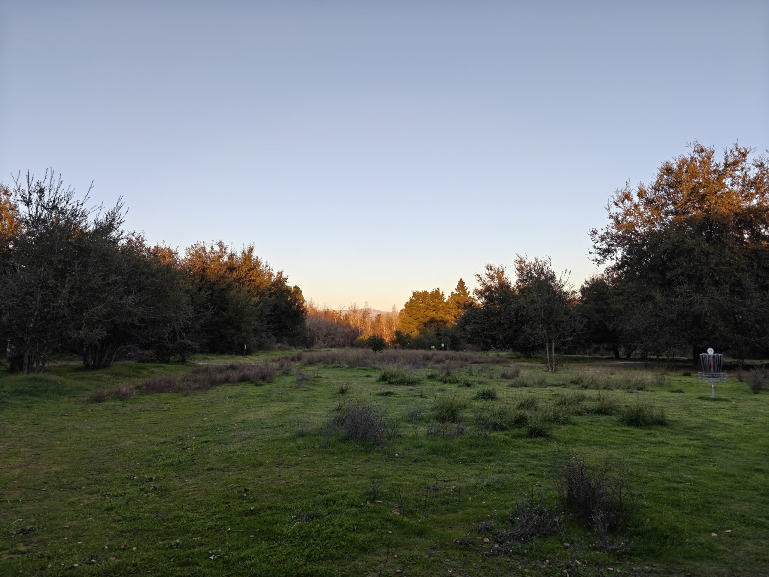 A photo of a field with the sunset in the background, taken with the OnePlus 13.