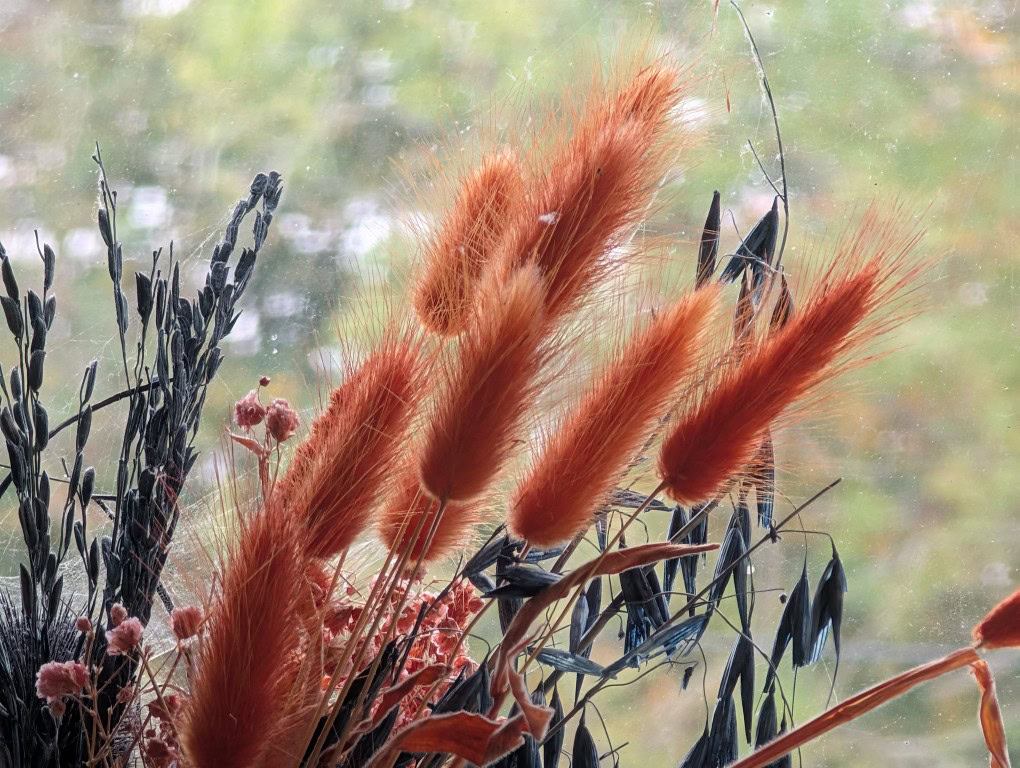 Pixel 9 Pro XL camera flower cheap lens protector