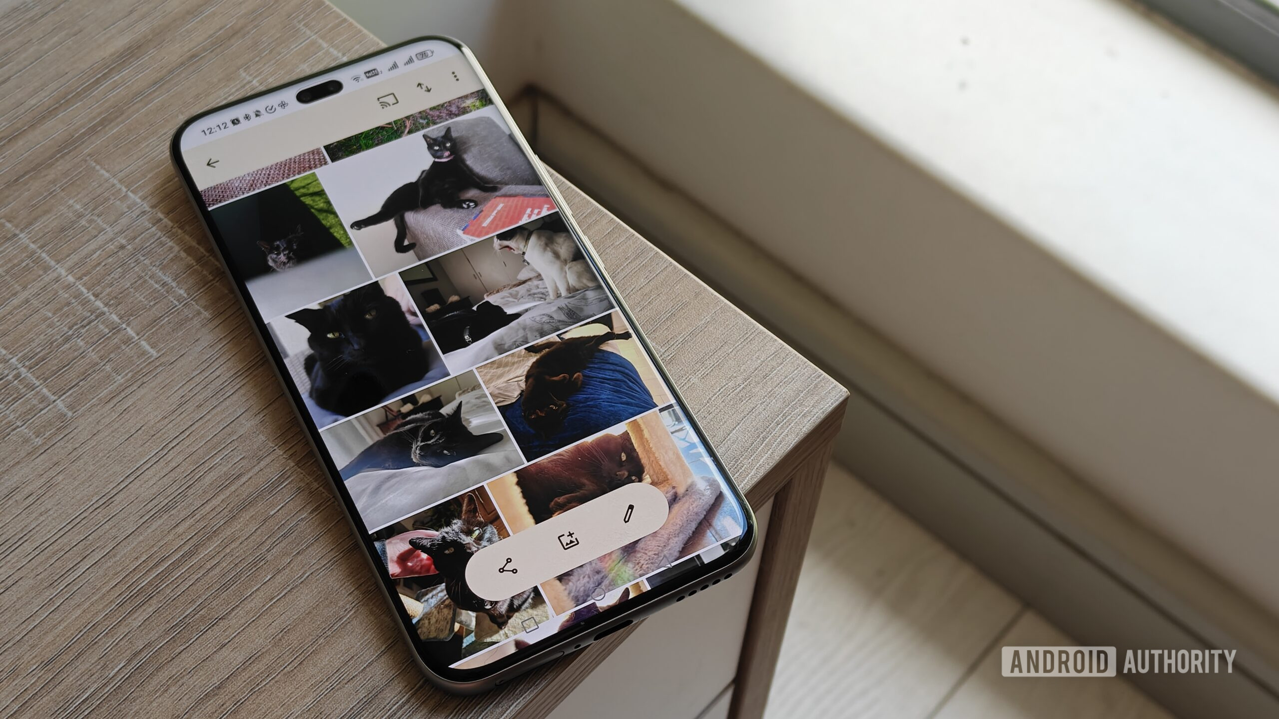 cat photos on a smartphone cat photos on a smartphone