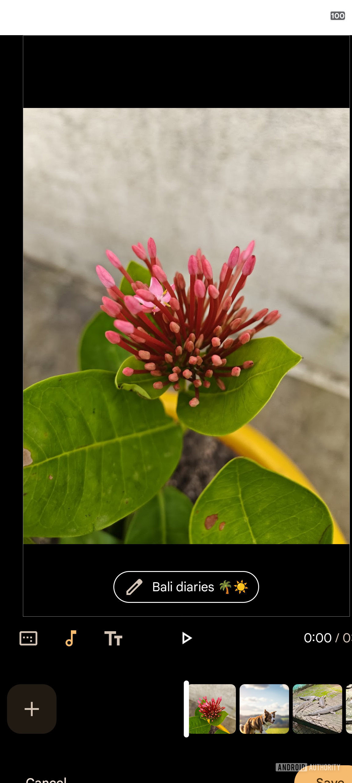 google photos highlight template 3