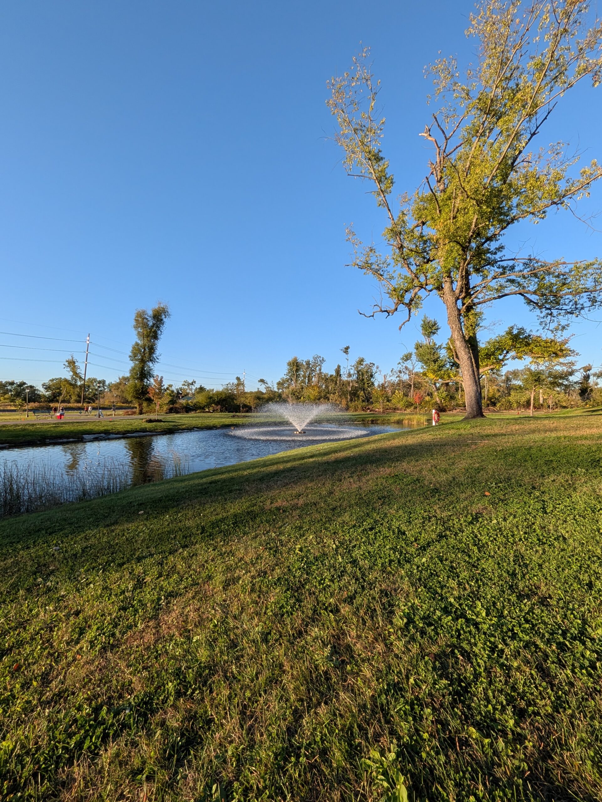 A photo of a fountain near a nature trail, taken with the Pixel 10 Pro Fold.