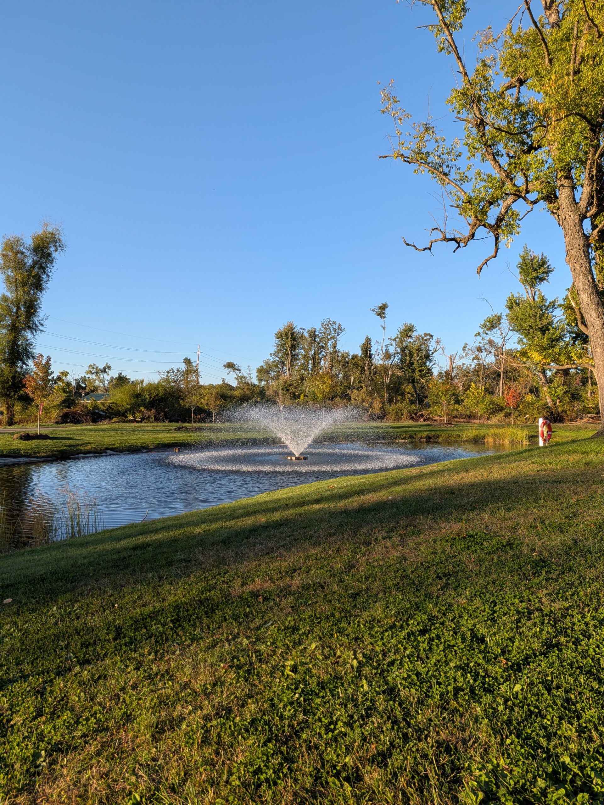 A photo of a fountain near a nature trail, taken with the Pixel 10 Pro Fold.
