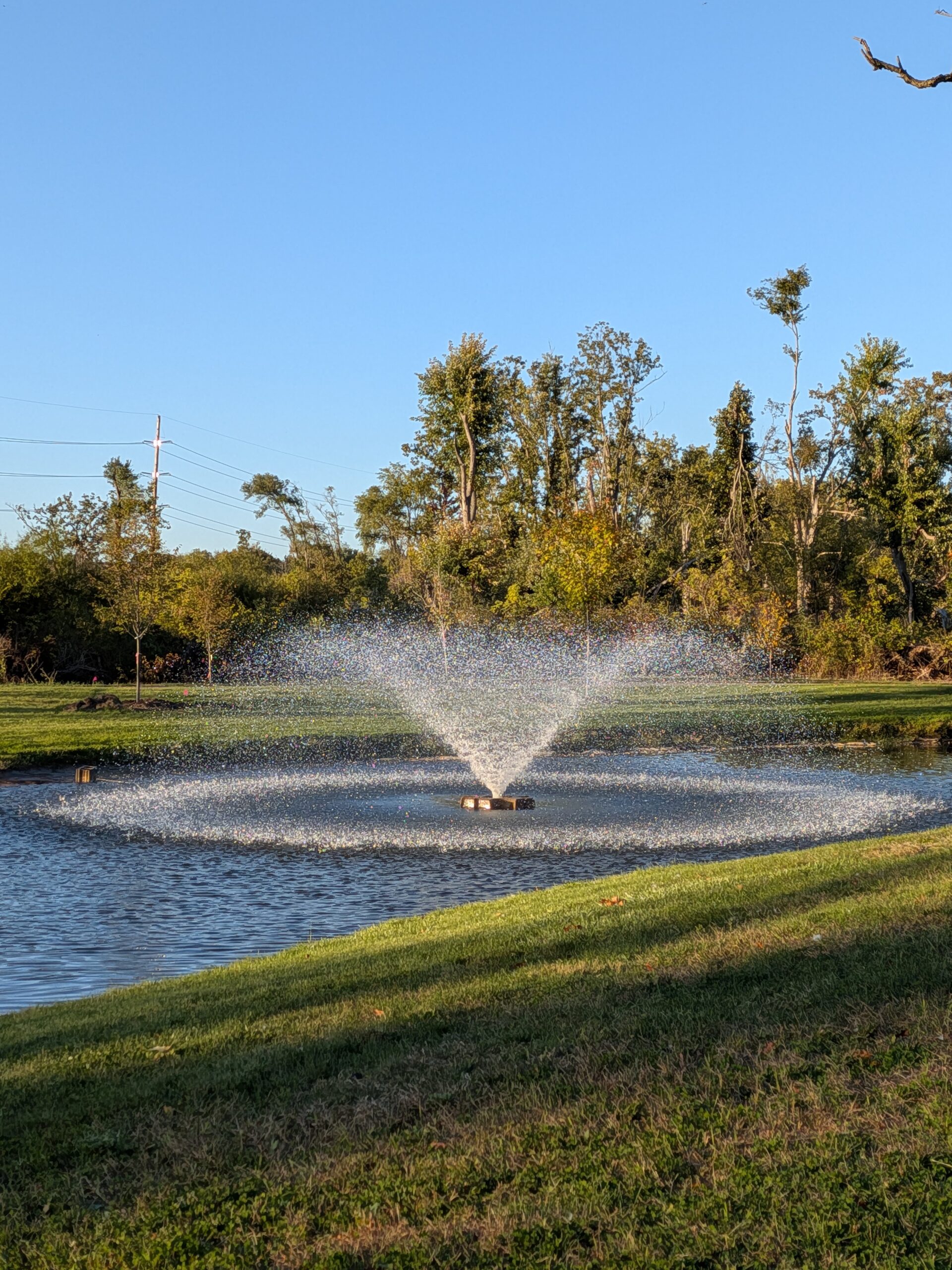 A photo of a fountain near a nature trail, taken with the Pixel 10 Pro Fold.