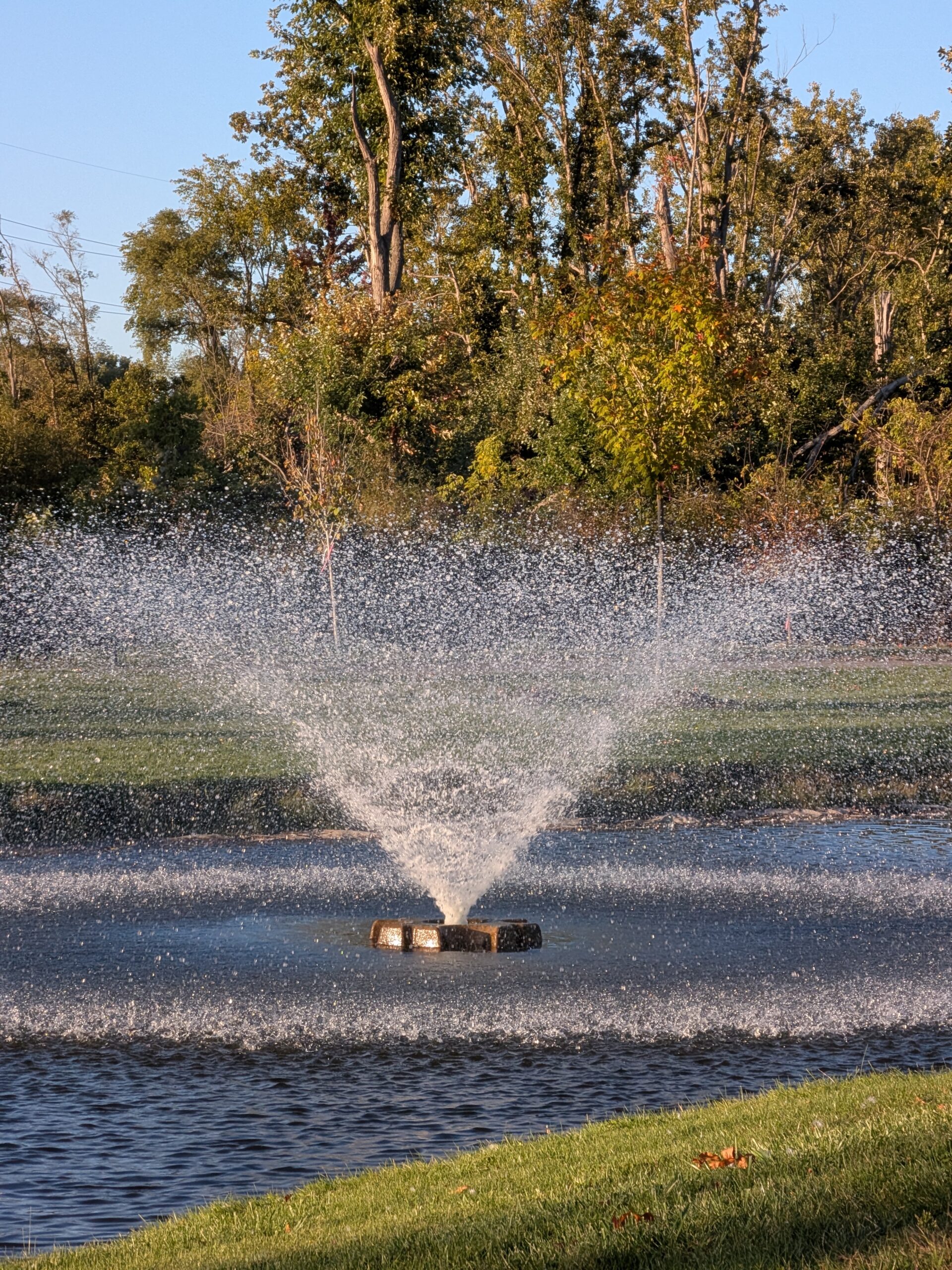 A photo of a fountain near a nature trail, taken with the Pixel 10 Pro Fold.