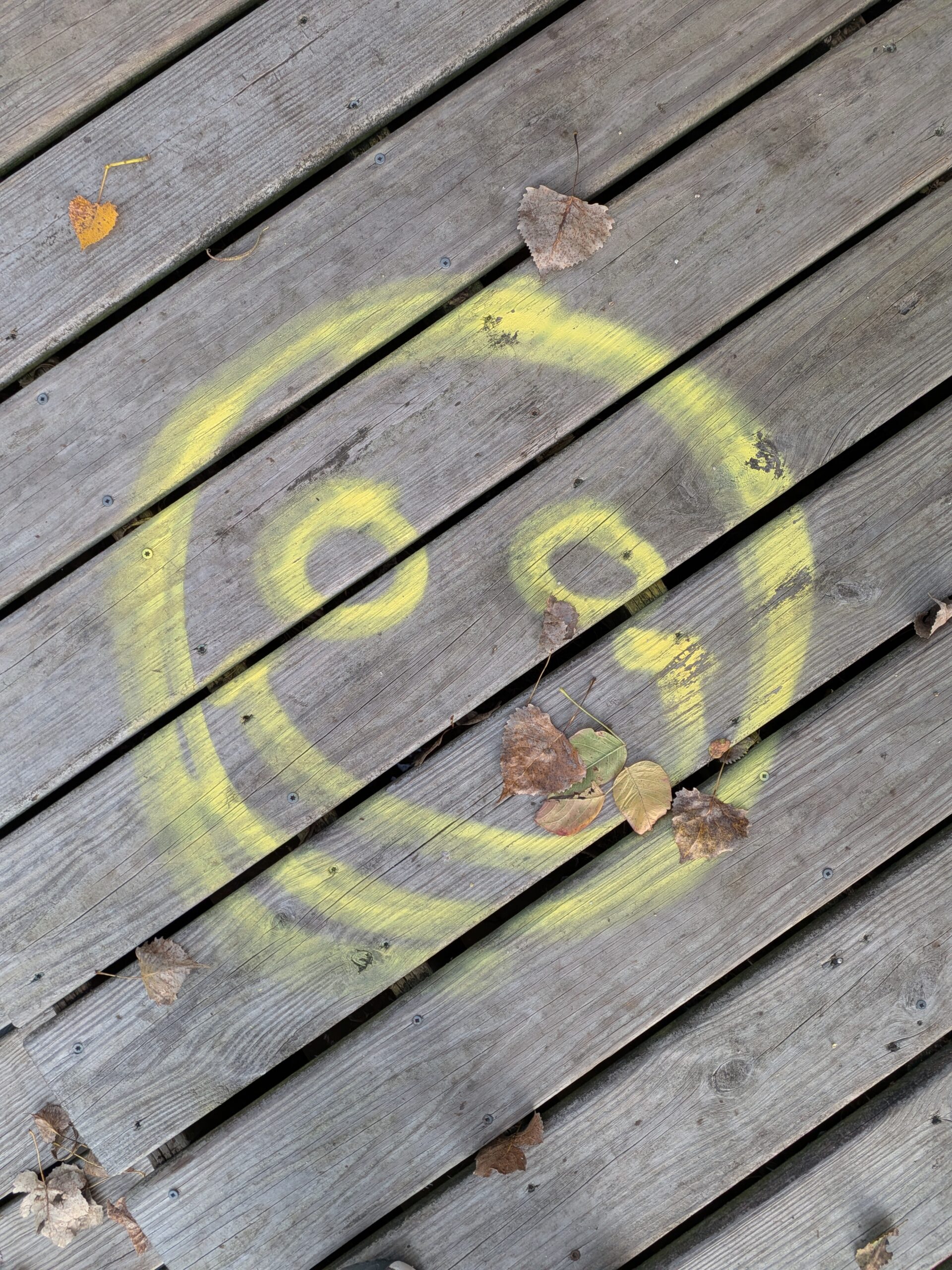 A picture of a smiley face painted on a walkway, taken with the Pixel 10 Pro Fold.