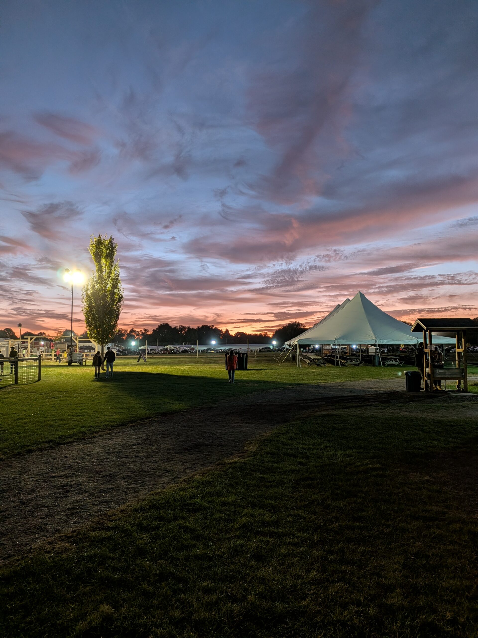 A picture of a farm at sunset, taken with the Pixel 10 Pro Fold.