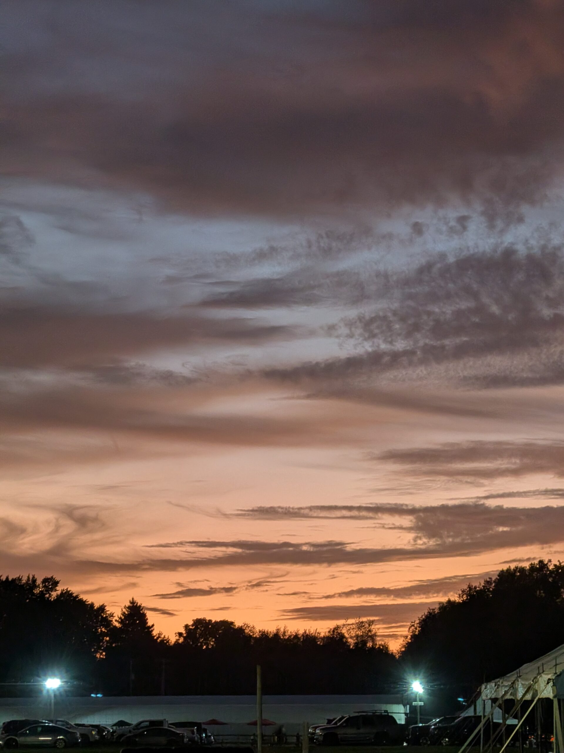 A picture of a sunset with trees below it, taken with the Pixel 10 Pro Fold.