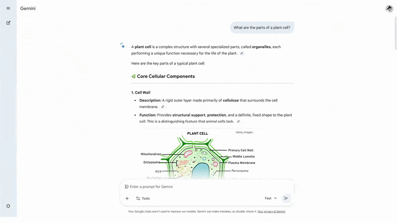 Gemini interactive image