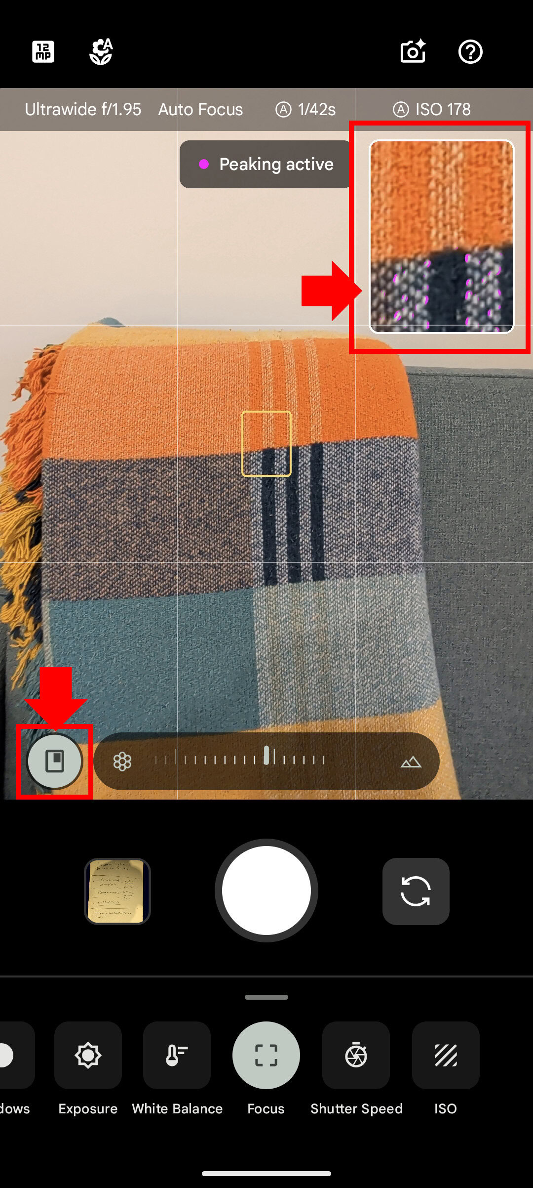 Google Pixel 10 Pro Manual focus with zoomed in viewfinder for focus peaking Google Pixel 10 Pro Manual focus with zoomed in viewfinder for focus peaking