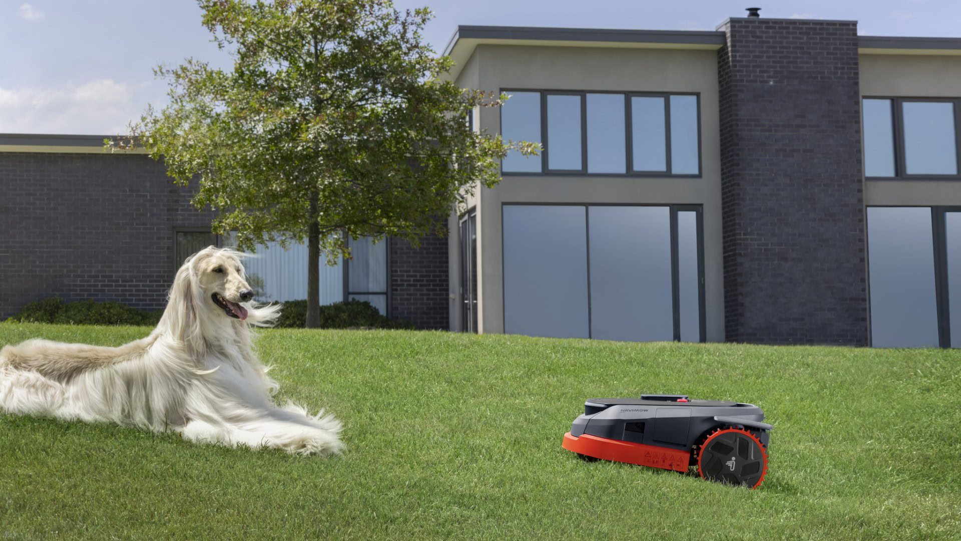 Segway Navimow X3 03