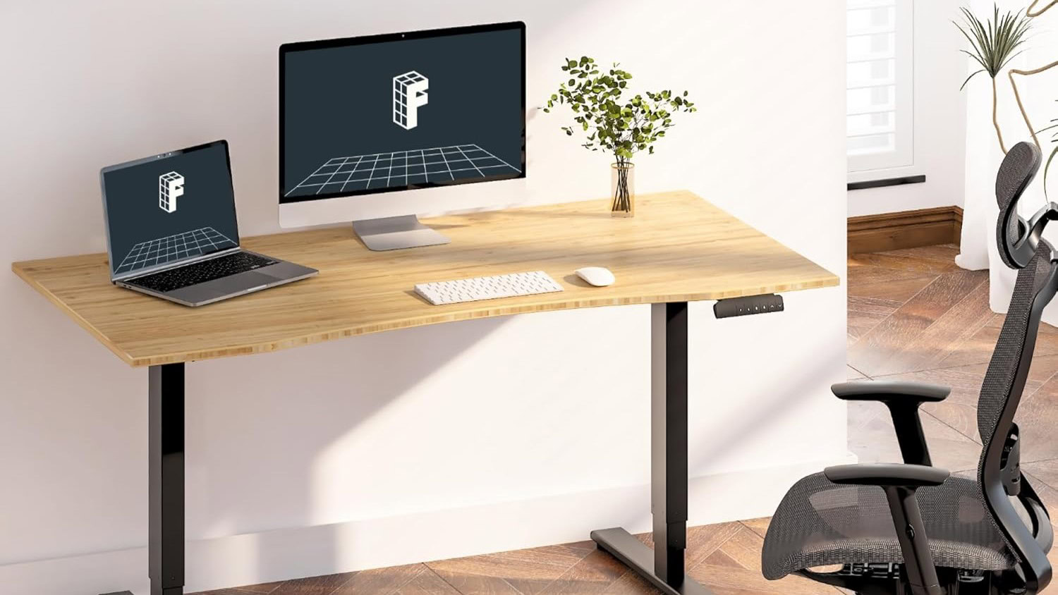 flexispot e6 essential standing desk