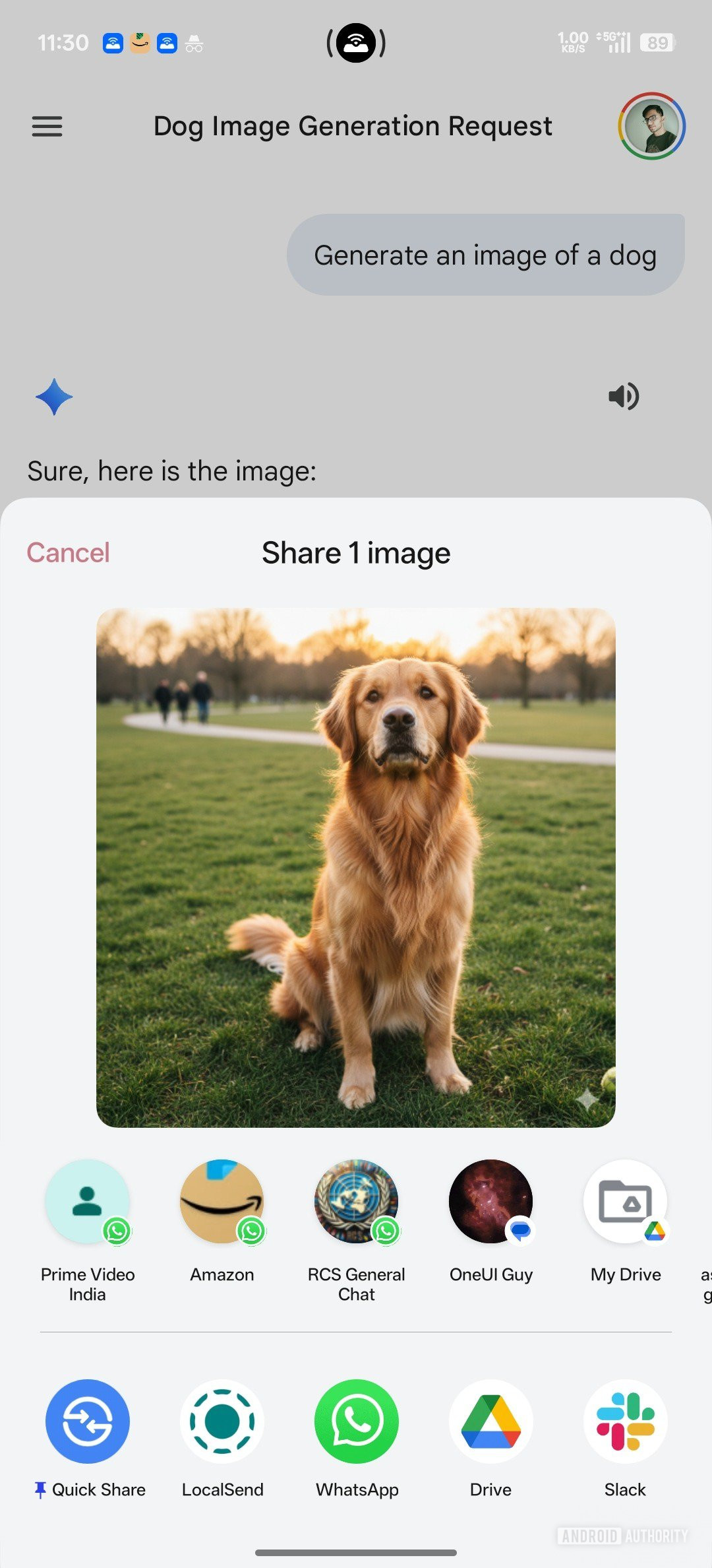 gemini image share old