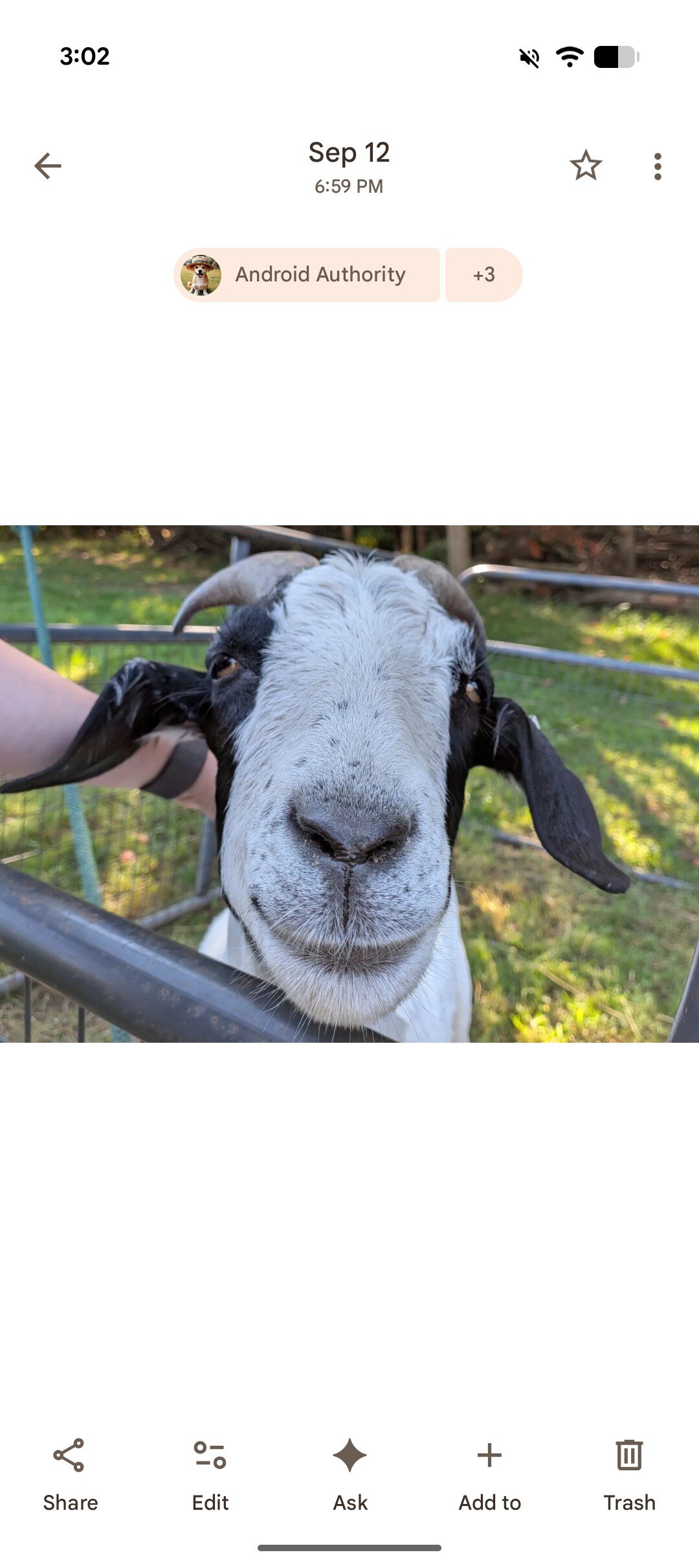 google photos ask photos ui 1