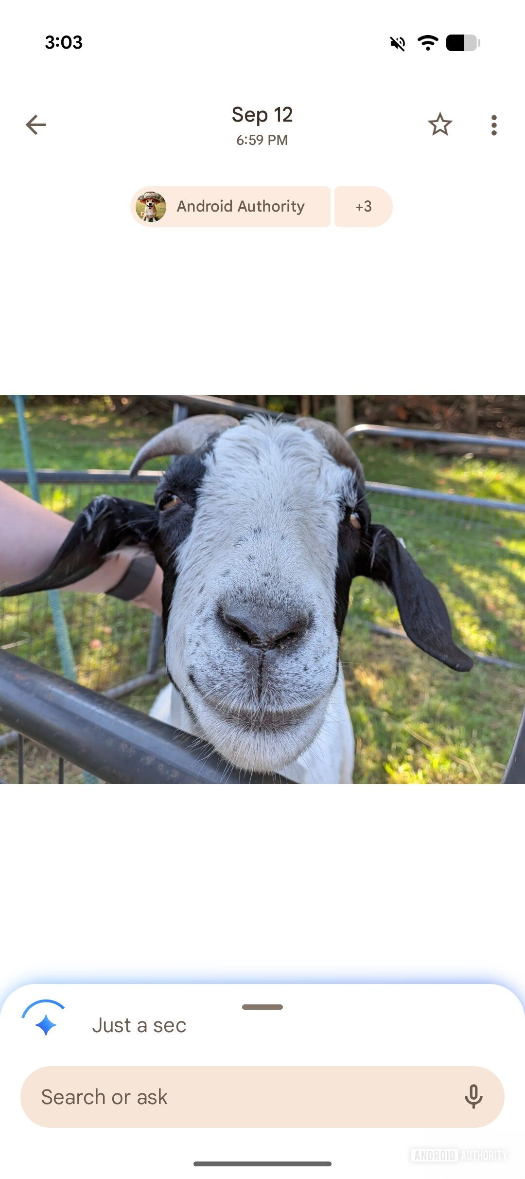 google photos ask photos ui 2