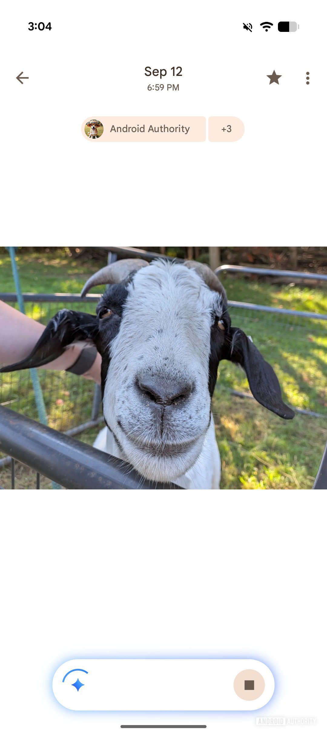 google photos ask photos ui 3