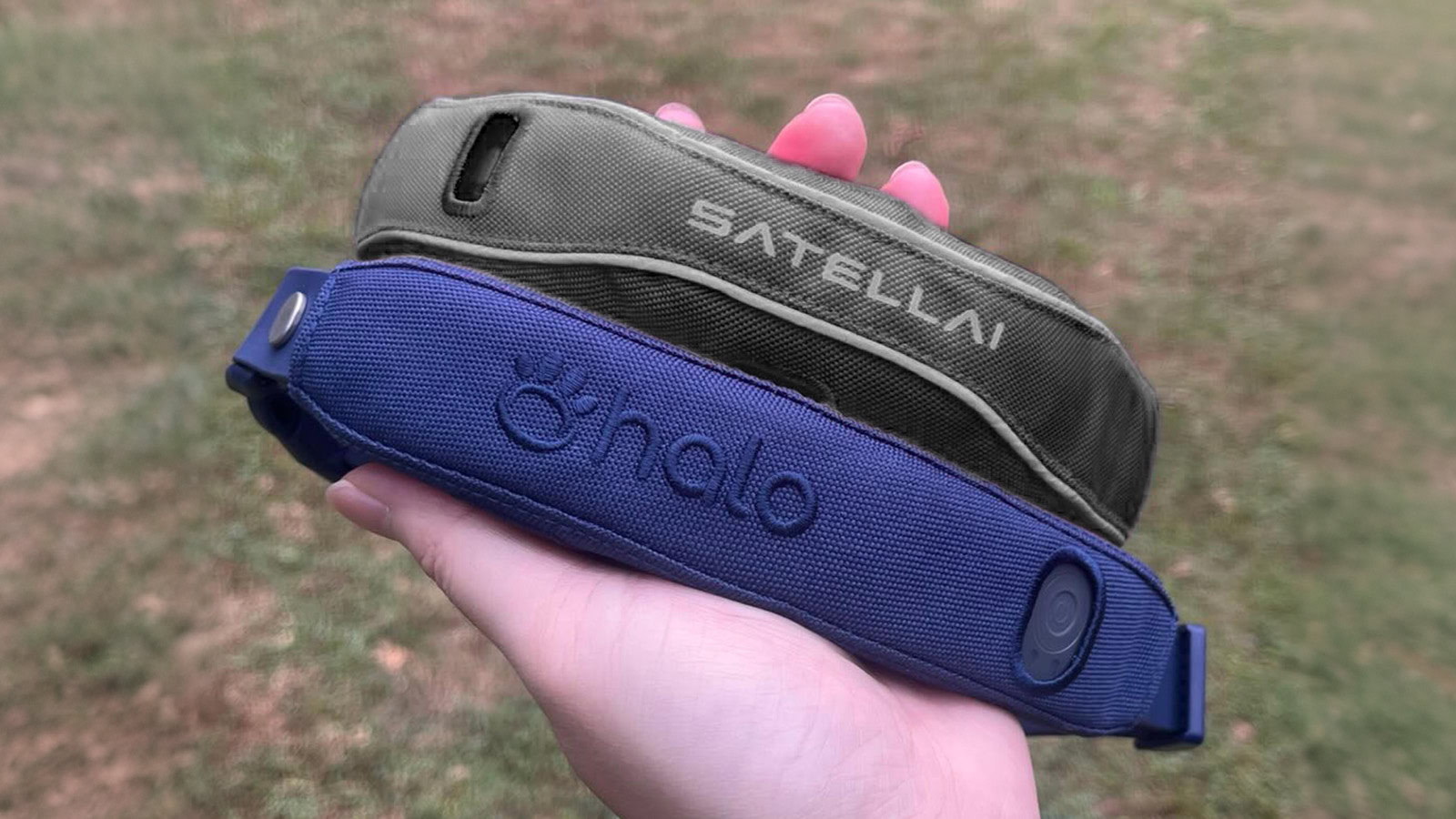 satellai collar 3 satellai collar 3