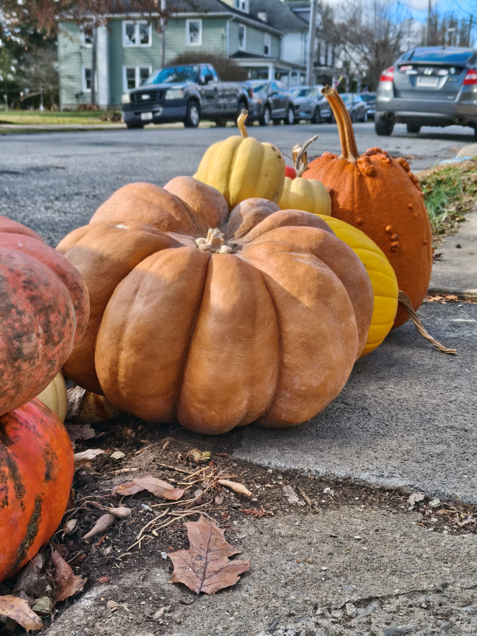 tcl nxtpaper 60 ultra 2x pumpkins