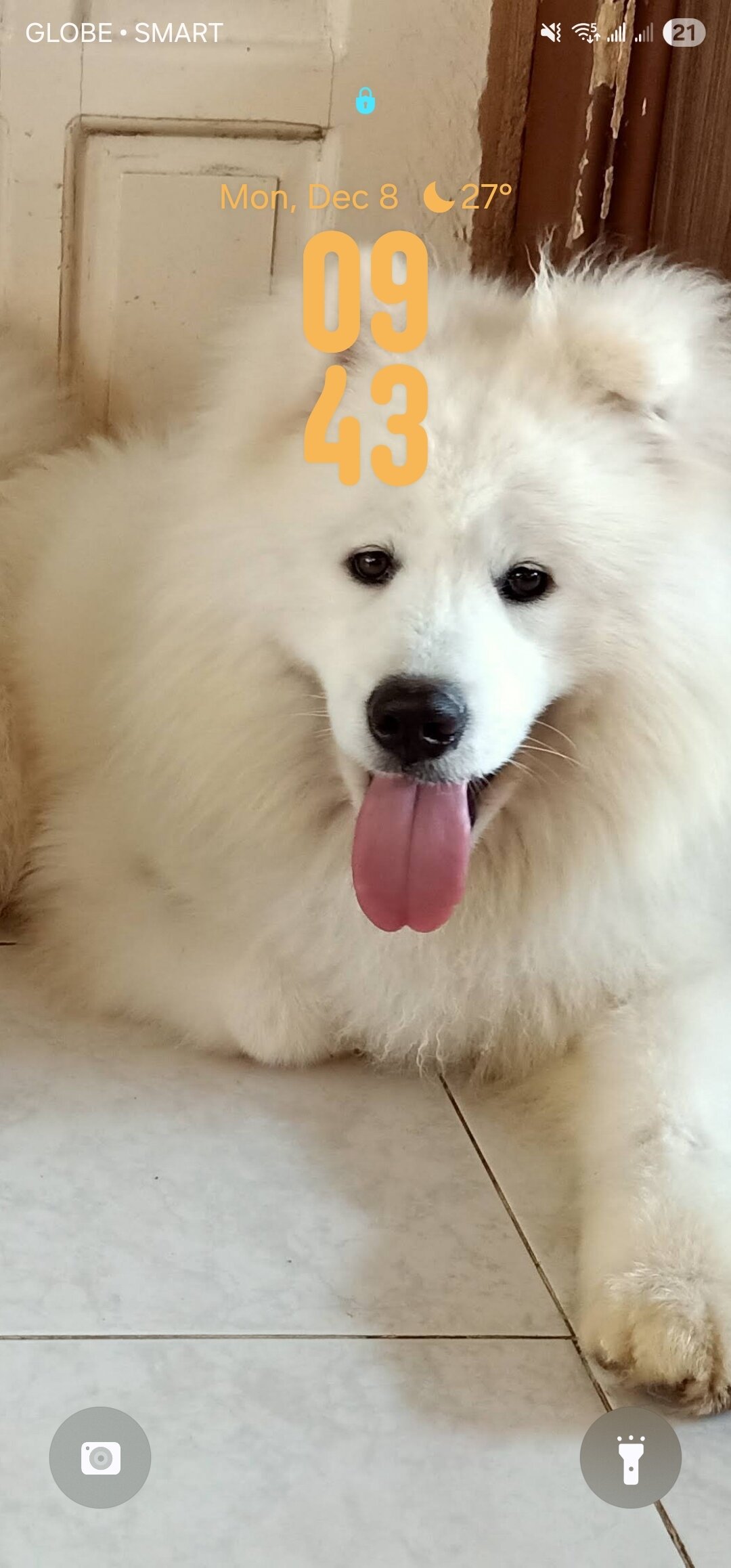 One UI 8 lock screen clock with a dog in the background wallpaper