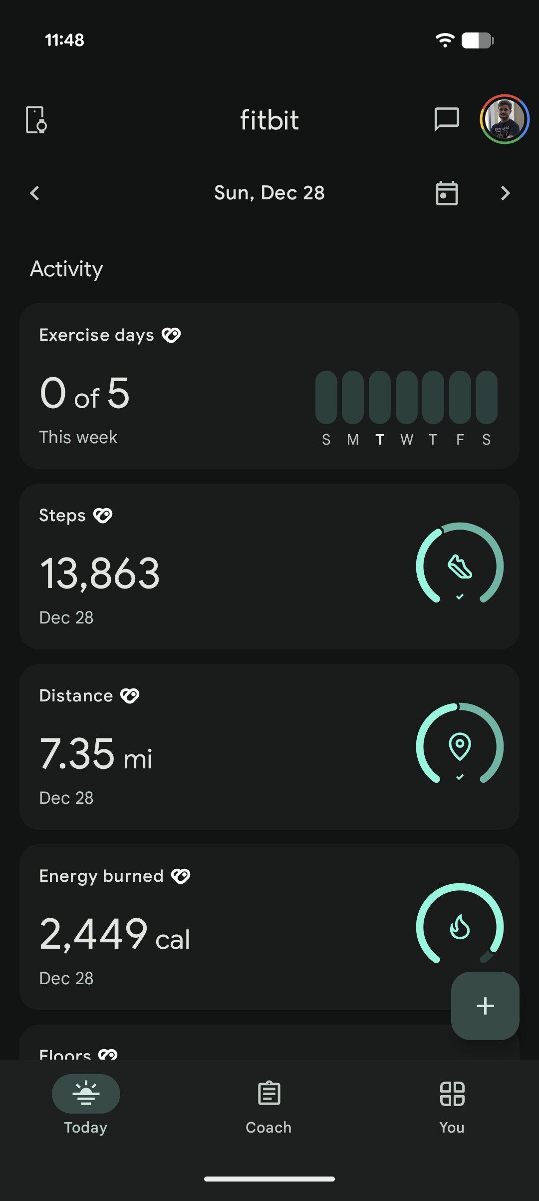 Pixel Fitbit step count screenshot