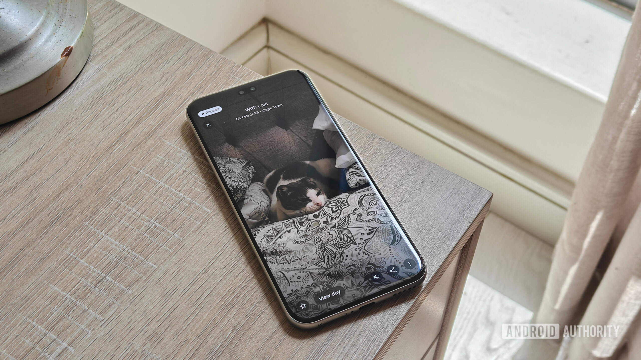 a memory on google photos showing a cat a memory on google photos showing a cat