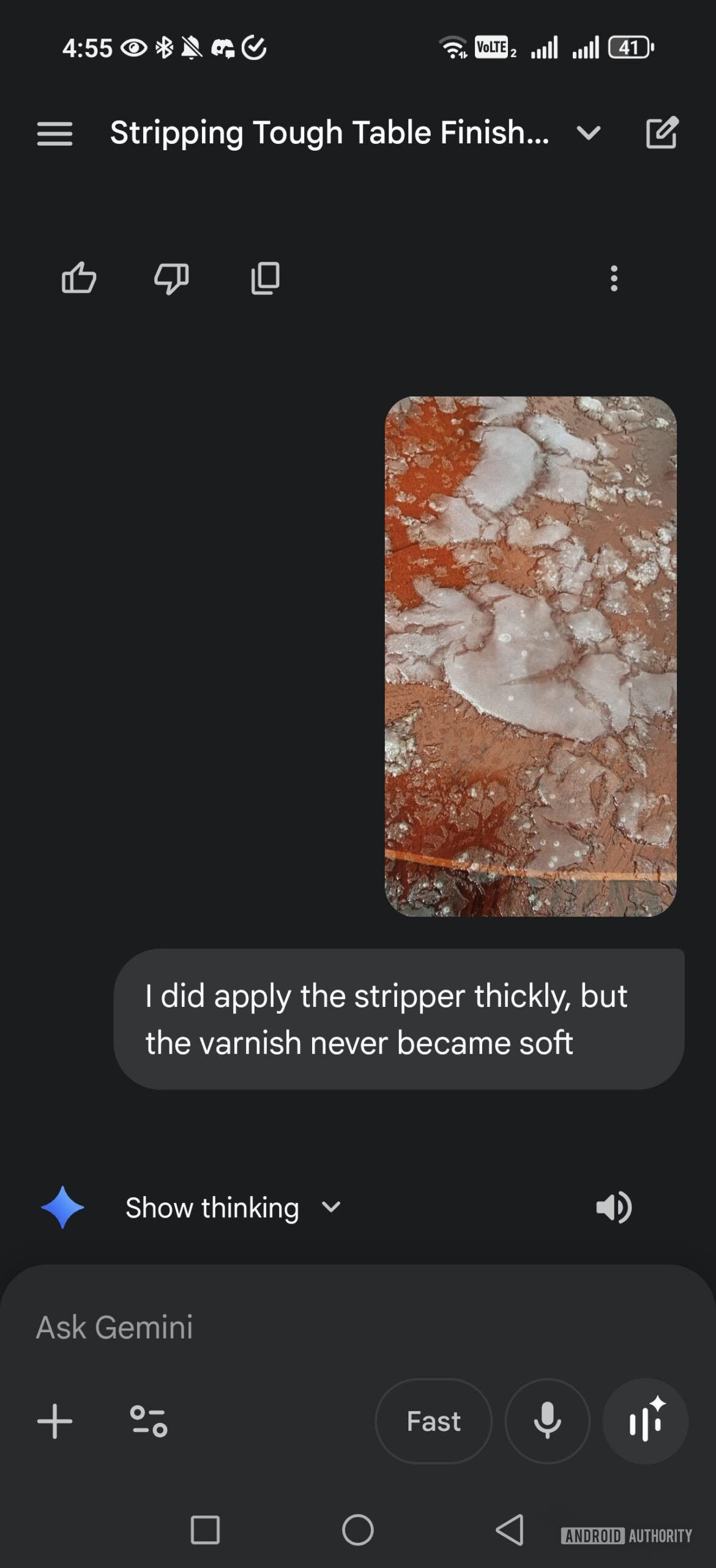 asking gemini about faulty paint stripper with picture