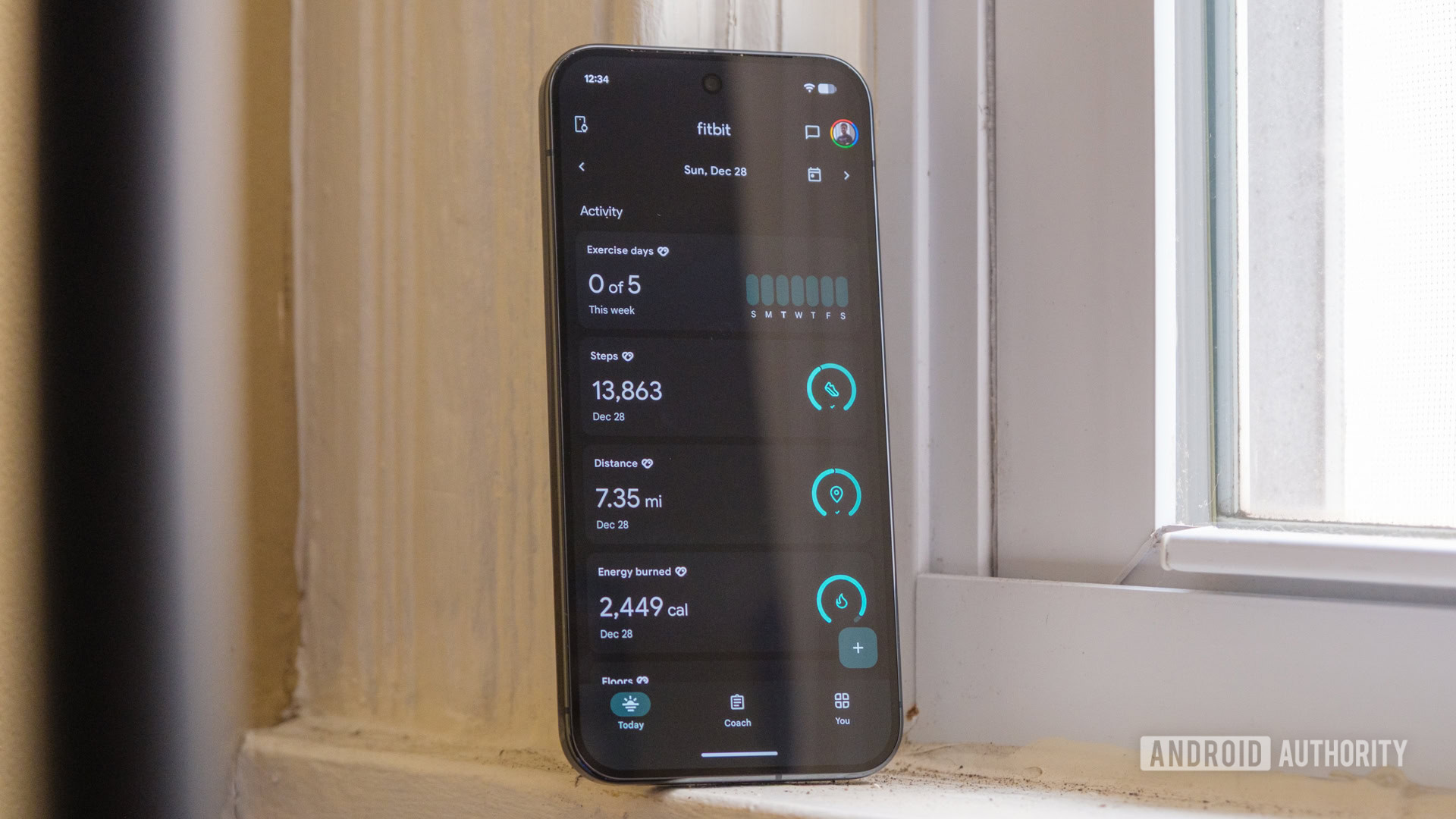 fitbit progress loops