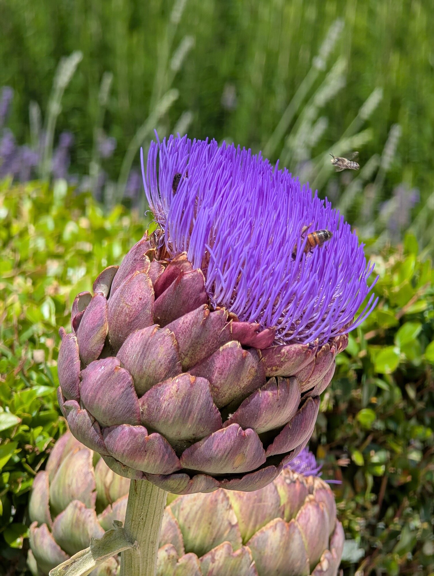 google pixel camera sample favorite 18