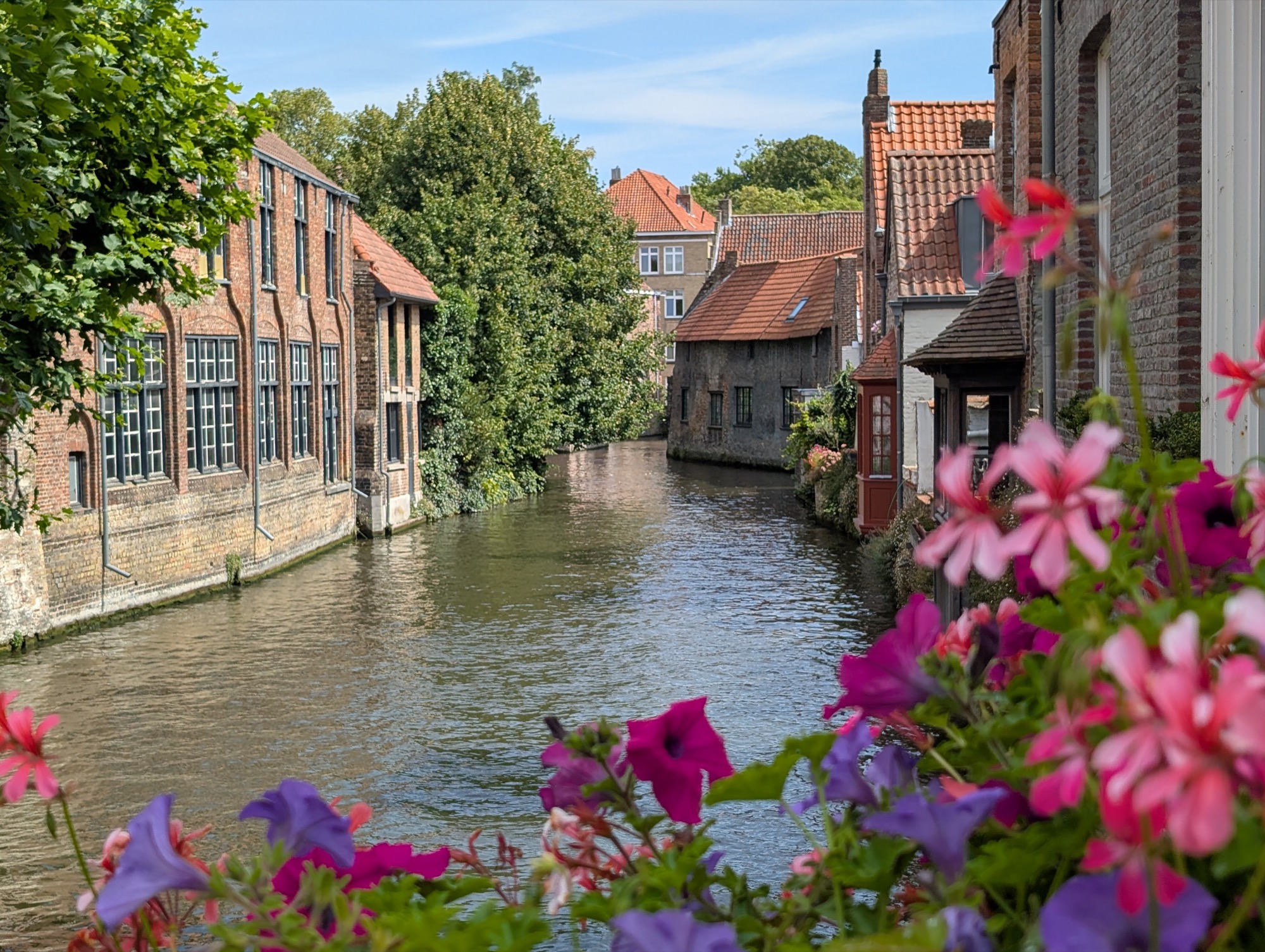 google pixel camera sample favorite 4