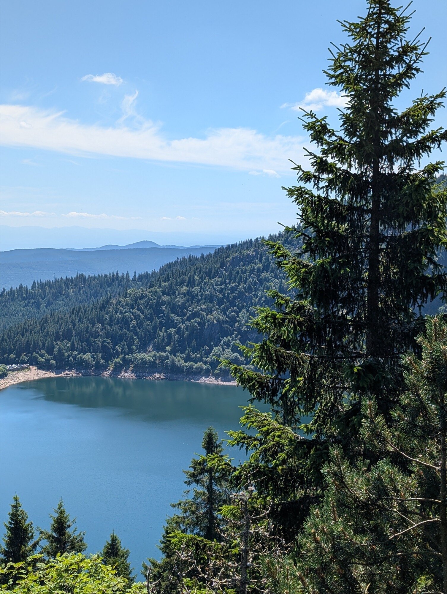 google pixel camera sample favorite 7