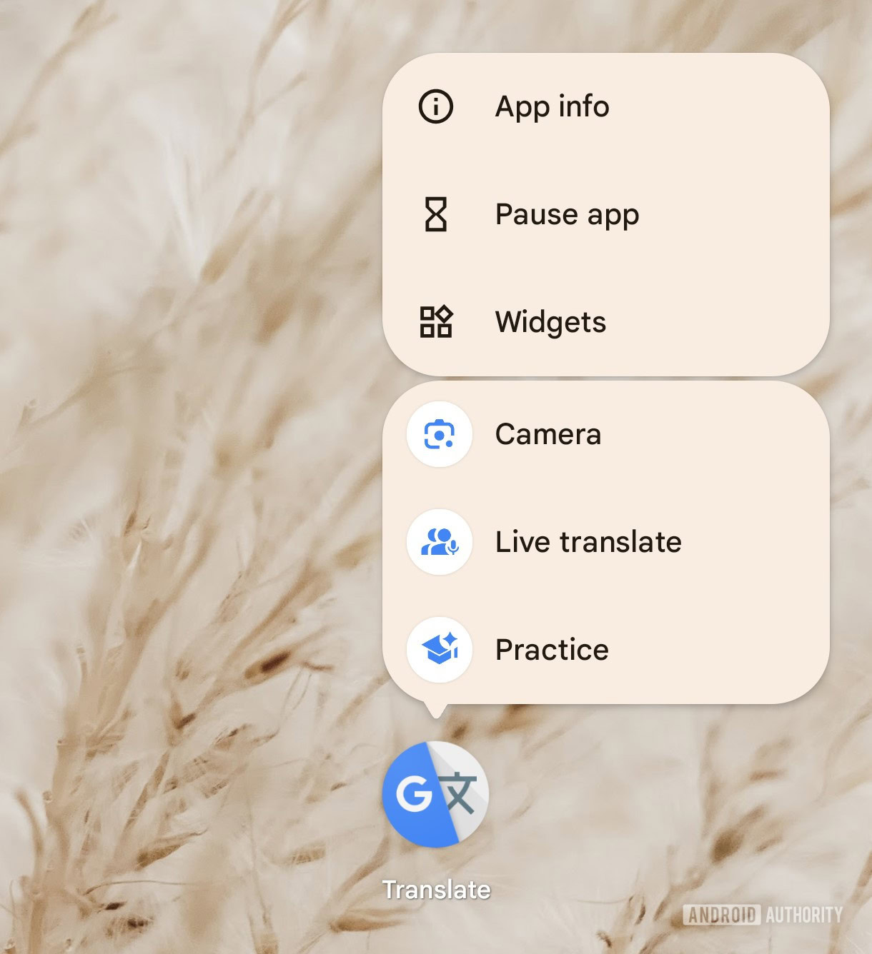 google translate shortcuts ad